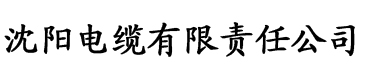 国产精品久久香蕉国产线电缆厂logo